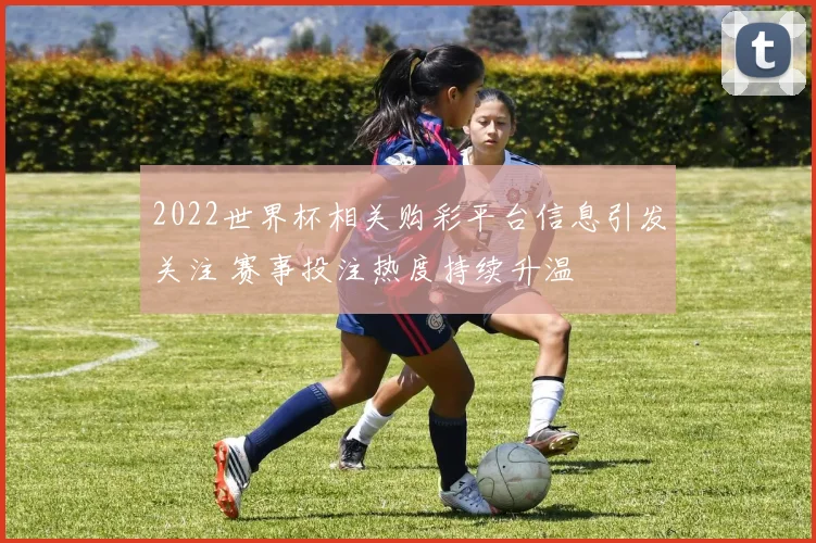 2022世界杯相关购彩平台信息引发关注 赛事投注热度持续升温