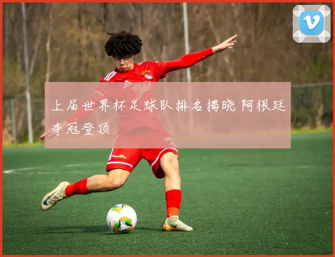 上届世界杯足球队排名揭晓 阿根廷夺冠登顶