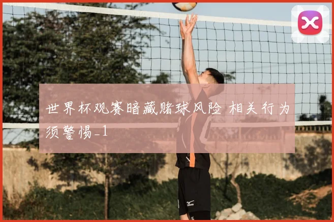 世界杯观赛暗藏赌球风险 相关行为须警惕_1